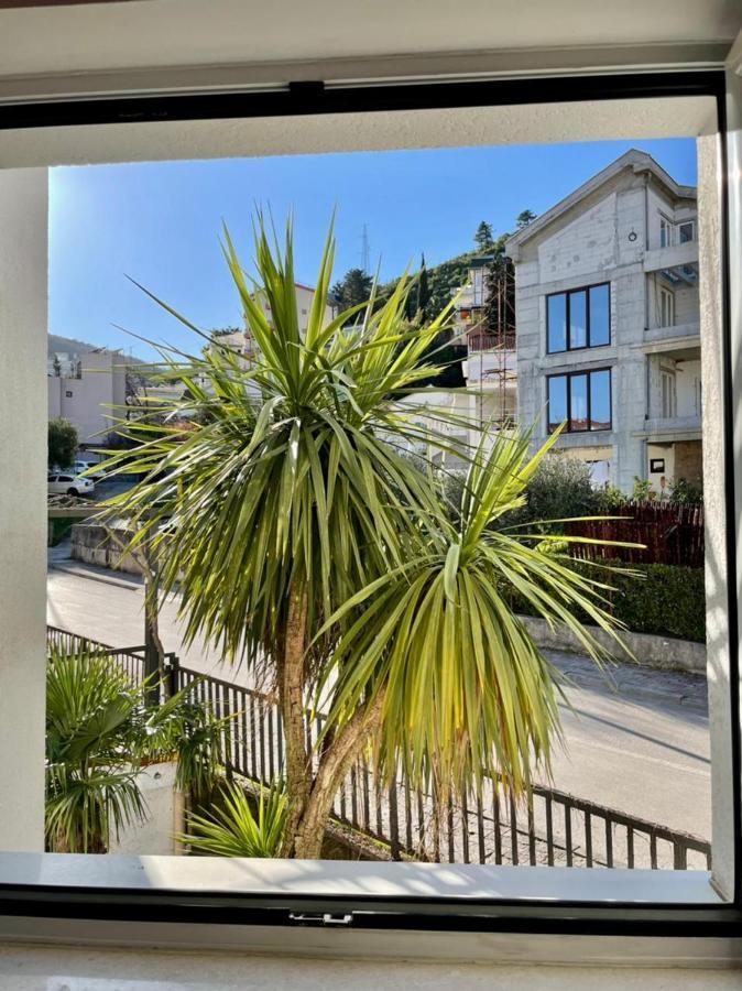 Vila Monte Guest house *